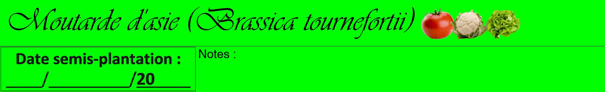 Étiquette de : Brassica tournefortii - format a - style noire16viv avec comestibilité simplifiée