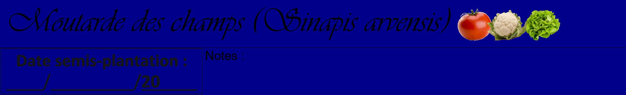 Étiquette de : Sinapis arvensis - format a - style noire7viv avec comestibilité simplifiée