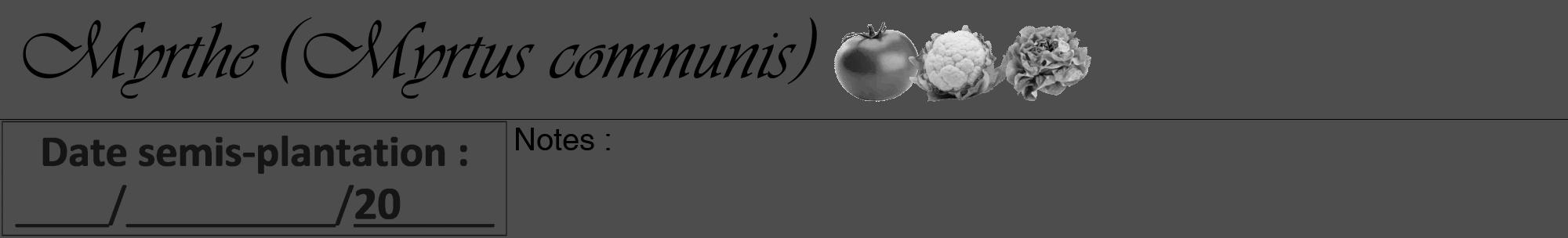 Étiquette de : Myrtus communis - format a - style noire28viv avec comestibilité simplifiée