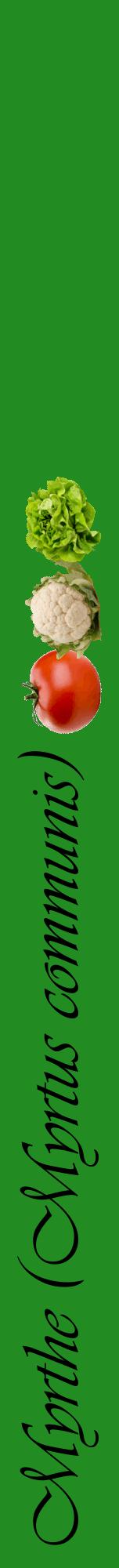 Étiquette de : Myrtus communis - format a - style noire10viv avec comestibilité simplifiée - position verticale