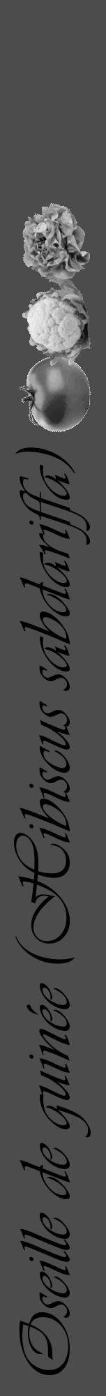 Étiquette de : Hibiscus sabdariffa - format a - style noire27viv avec comestibilité simplifiée - position verticale