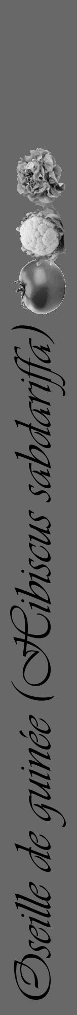 Étiquette de : Hibiscus sabdariffa - format a - style noire43viv avec comestibilité simplifiée - position verticale