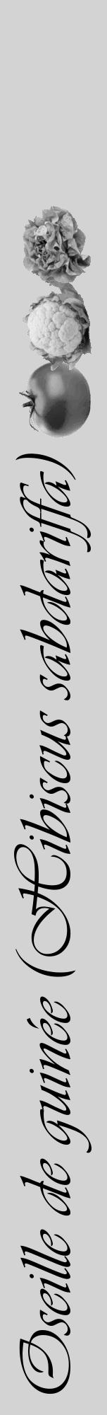 Étiquette de : Hibiscus sabdariffa - format a - style noire56viv avec comestibilité simplifiée - position verticale