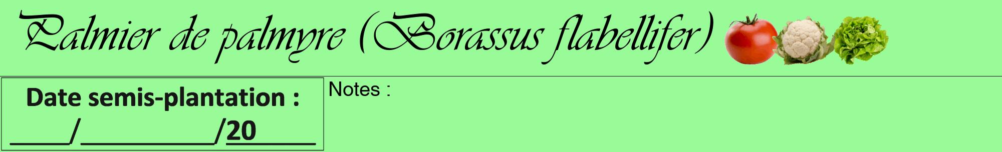 Étiquette de : Borassus flabellifer - format a - style noire14viv avec comestibilité simplifiée