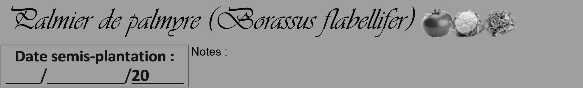 Étiquette de : Borassus flabellifer - format a - style noire24viv avec comestibilité simplifiée