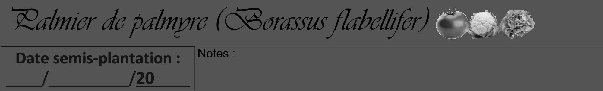 Étiquette de : Borassus flabellifer - format a - style noire36viv avec comestibilité simplifiée