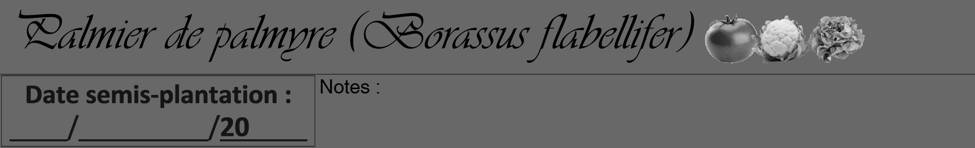 Étiquette de : Borassus flabellifer - format a - style noire43viv avec comestibilité simplifiée