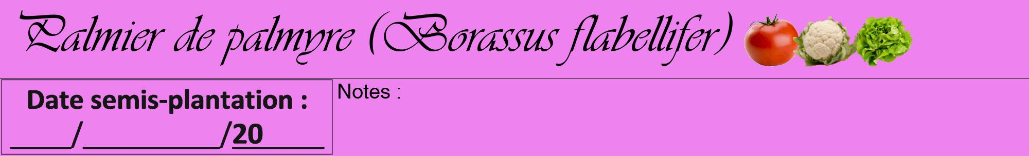 Étiquette de : Borassus flabellifer - format a - style noire53viv avec comestibilité simplifiée