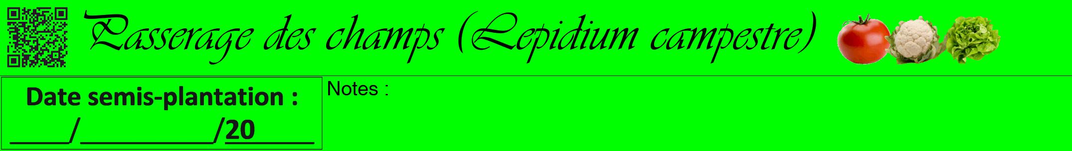 Étiquette de : Lepidium campestre - format a - style noire16viv avec qrcode et comestibilité simplifiée