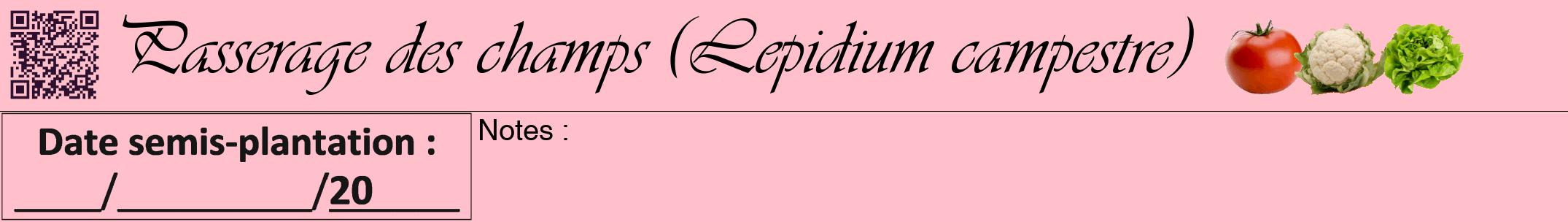 Étiquette de : Lepidium campestre - format a - style noire40viv avec qrcode et comestibilité simplifiée