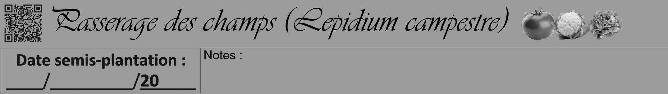 Étiquette de : Lepidium campestre - format a - style noire52viv avec qrcode et comestibilité simplifiée