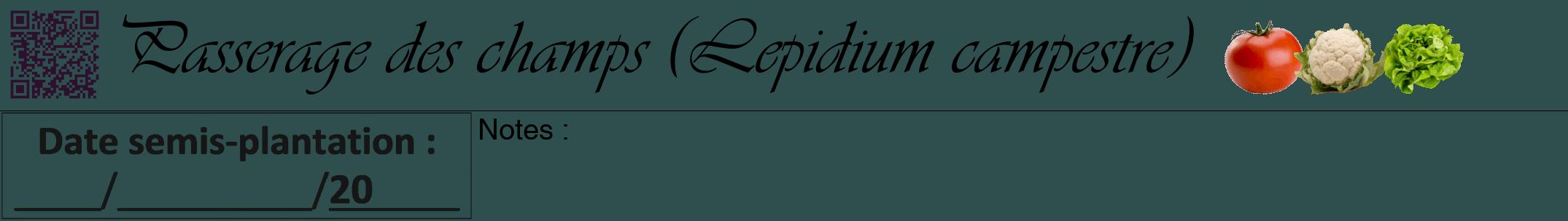 Étiquette de : Lepidium campestre - format a - style noire58viv avec qrcode et comestibilité simplifiée