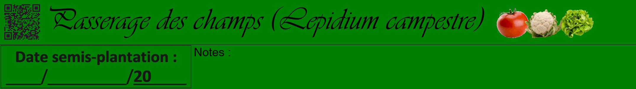 Étiquette de : Lepidium campestre - format a - style noire9viv avec qrcode et comestibilité simplifiée