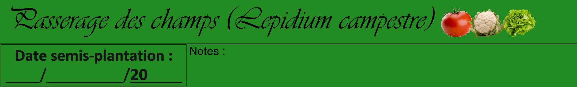 Étiquette de : Lepidium campestre - format a - style noire10viv avec comestibilité simplifiée