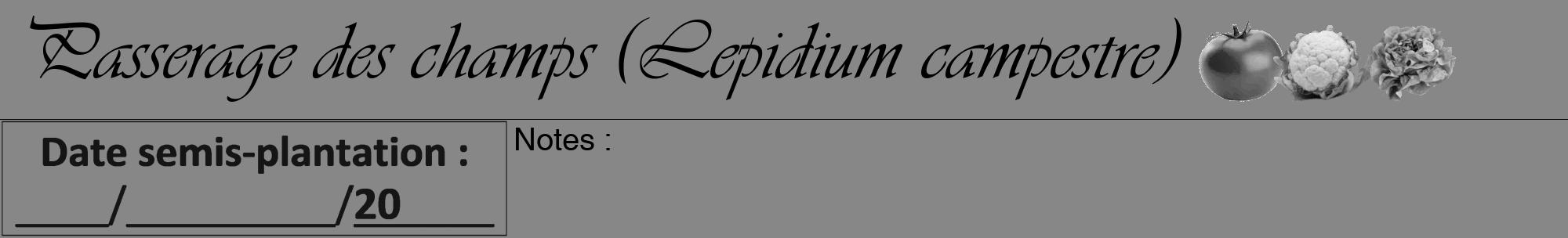 Étiquette de : Lepidium campestre - format a - style noire12viv avec comestibilité simplifiée