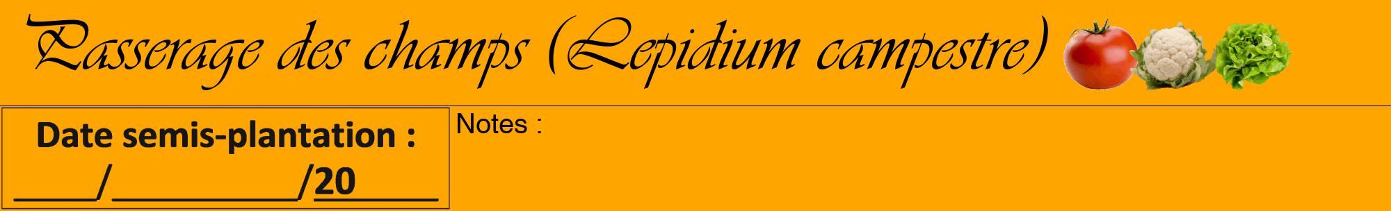 Étiquette de : Lepidium campestre - format a - style noire22viv avec comestibilité simplifiée