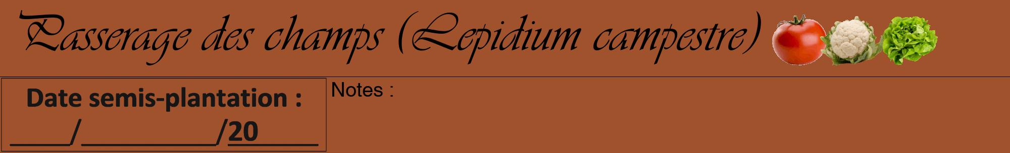 Étiquette de : Lepidium campestre - format a - style noire32viv avec comestibilité simplifiée