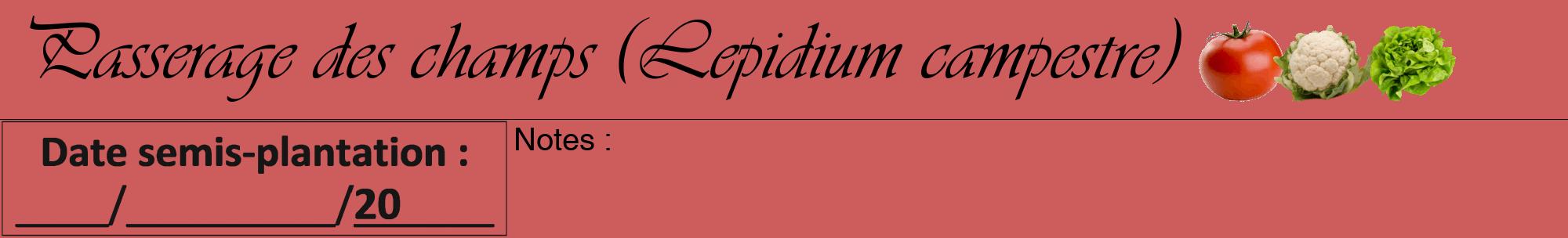 Étiquette de : Lepidium campestre - format a - style noire35viv avec comestibilité simplifiée