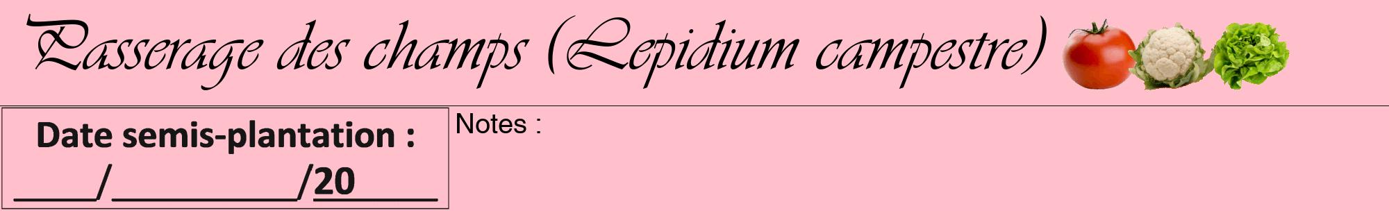 Étiquette de : Lepidium campestre - format a - style noire40viv avec comestibilité simplifiée