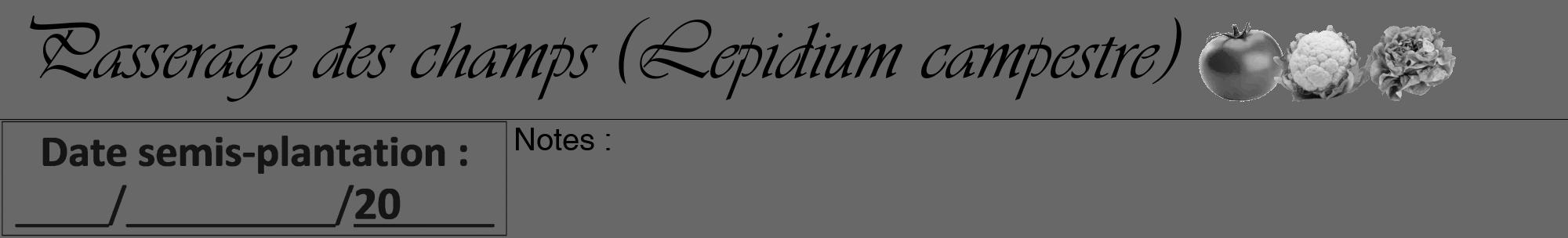 Étiquette de : Lepidium campestre - format a - style noire43viv avec comestibilité simplifiée