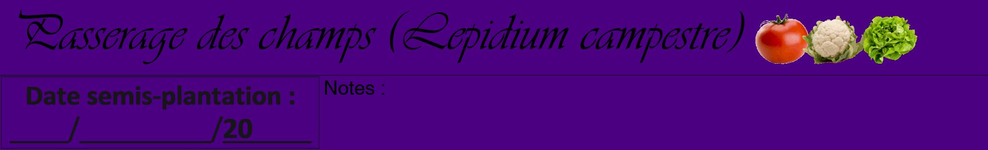 Étiquette de : Lepidium campestre - format a - style noire47viv avec comestibilité simplifiée