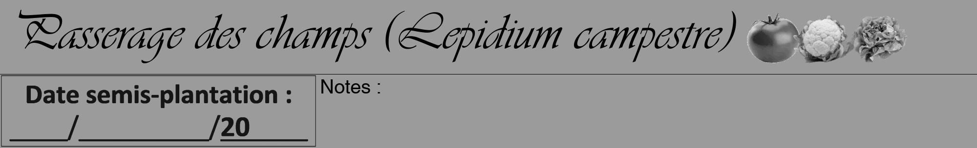 Étiquette de : Lepidium campestre - format a - style noire52viv avec comestibilité simplifiée