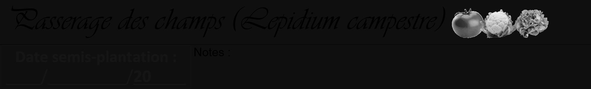 Étiquette de : Lepidium campestre - format a - style noire7viv avec comestibilité simplifiée