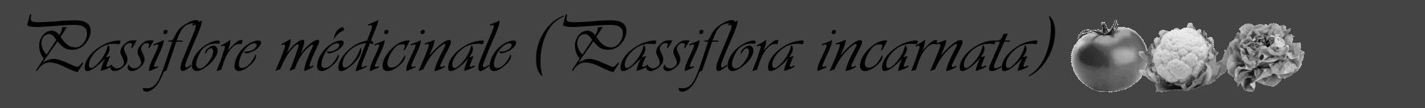 Étiquette de : Passiflora incarnata - format a - style noire48viv avec comestibilité simplifiée