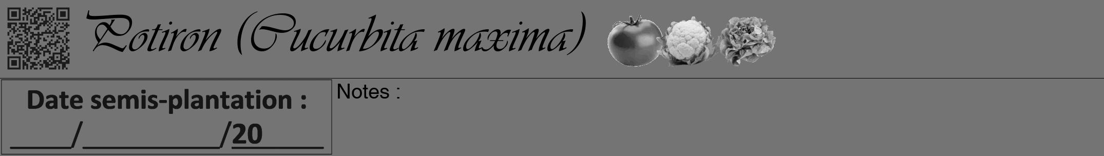 Étiquette de : Cucurbita maxima - format a - style noire26viv avec qrcode et comestibilité simplifiée
