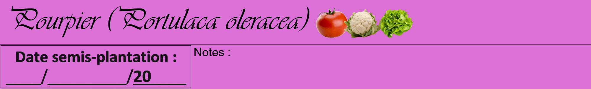 Étiquette de : Portulaca oleracea - format a - style noire52viv avec comestibilité simplifiée