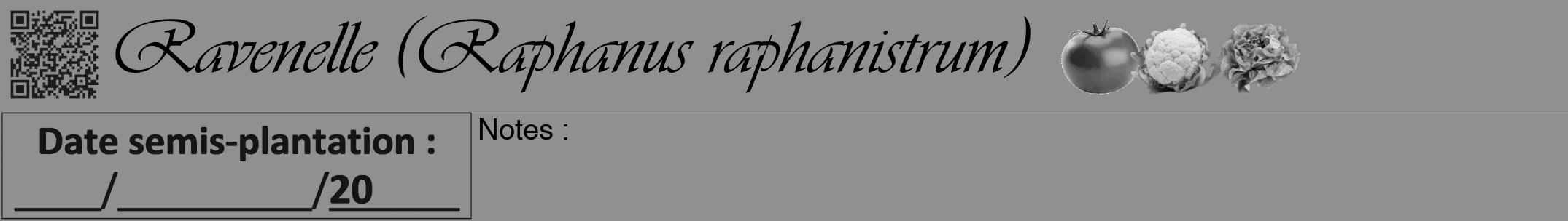 Étiquette de : Raphanus raphanistrum - format a - style noire4viv avec qrcode et comestibilité simplifiée