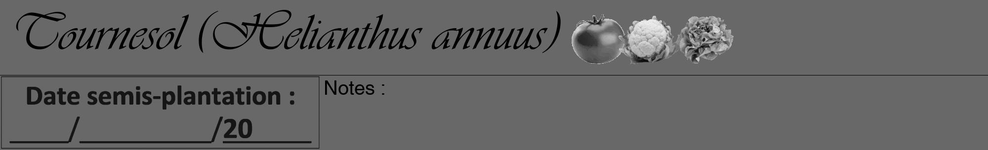 Étiquette de : Helianthus annuus - format a - style noire43viv avec comestibilité simplifiée