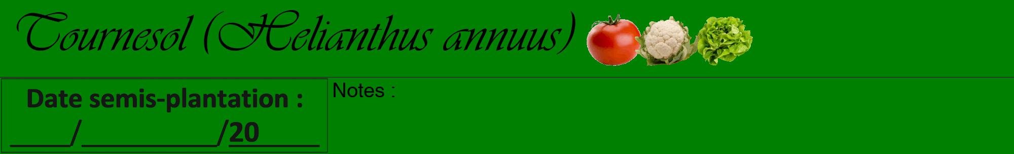Étiquette de : Helianthus annuus - format a - style noire9viv avec comestibilité simplifiée