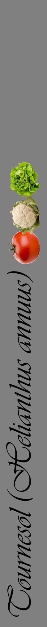 Étiquette de : Helianthus annuus - format a - style noire57viv avec comestibilité simplifiée