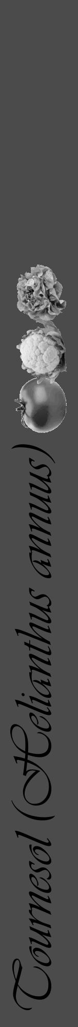 Étiquette de : Helianthus annuus - format a - style noire9viv avec comestibilité simplifiée - position verticale