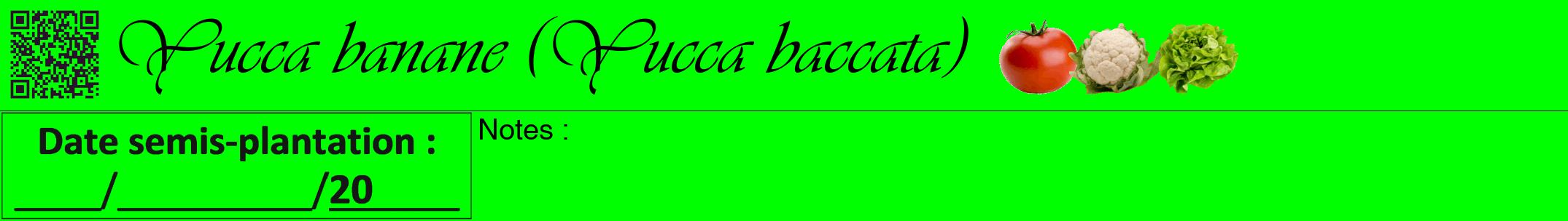 Étiquette de : Yucca baccata - format a - style noire16viv avec qrcode et comestibilité simplifiée