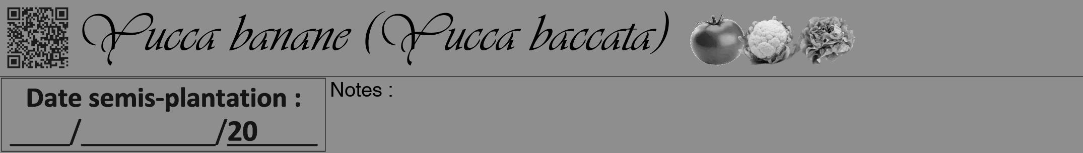 Étiquette de : Yucca baccata - format a - style noire25viv avec qrcode et comestibilité simplifiée
