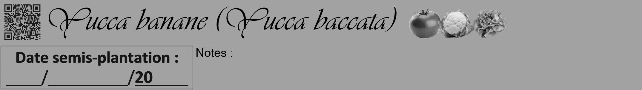 Étiquette de : Yucca baccata - format a - style noire38viv avec qrcode et comestibilité simplifiée