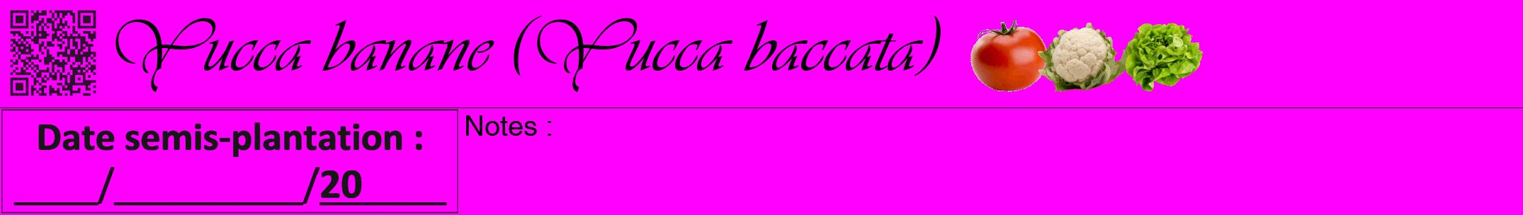 Étiquette de : Yucca baccata - format a - style noire51viv avec qrcode et comestibilité simplifiée