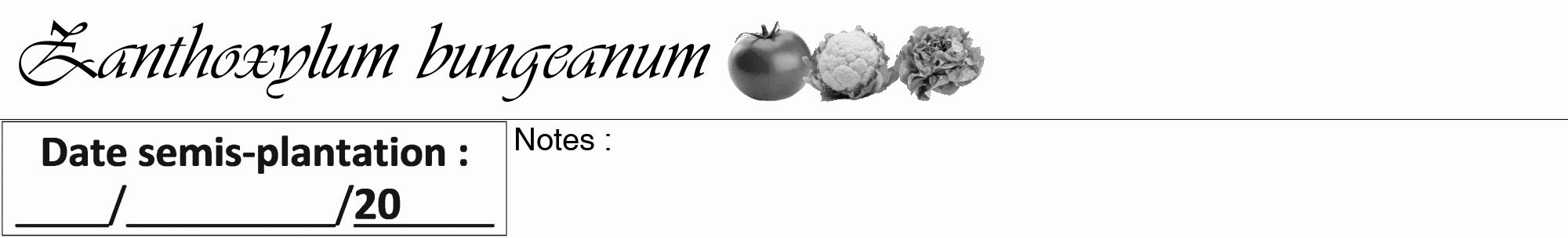 Étiquette de : Zanthoxylum bungeanum - format a - style noire19viv avec comestibilité simplifiée