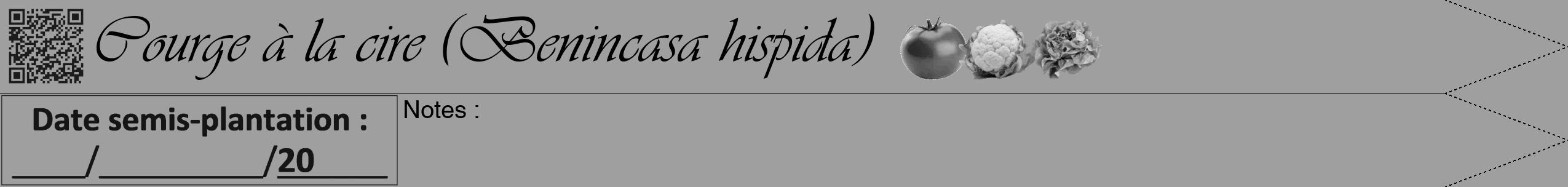 Étiquette de : Benincasa hispida - format b - style noire24viv avec qrcode et comestibilité simplifiée