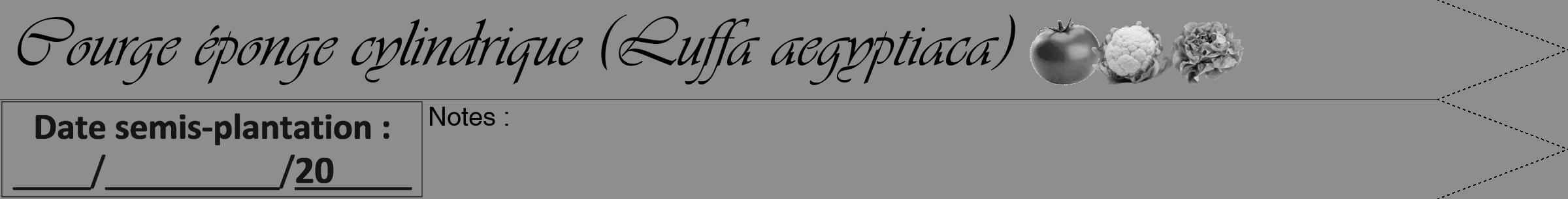 Étiquette de : Luffa aegyptiaca - format b - style noire25viv avec comestibilité simplifiée