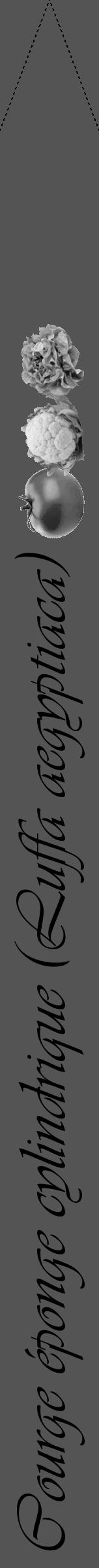 Étiquette de : Luffa aegyptiaca - format b - style noire30viv avec comestibilité simplifiée - position verticale