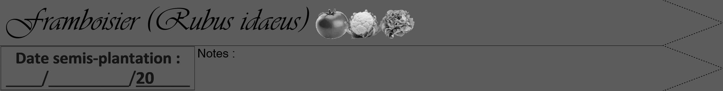 Étiquette de : Rubus idaeus - format b - style noire49viv avec comestibilité simplifiée