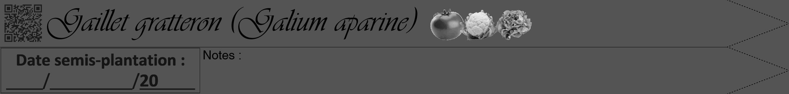 Étiquette de : Galium aparine - format b - style noire30simpleviv avec qrcode et comestibilité simplifiée