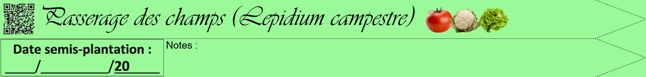 Étiquette de : Lepidium campestre - format b - style noire14viv avec qrcode et comestibilité simplifiée