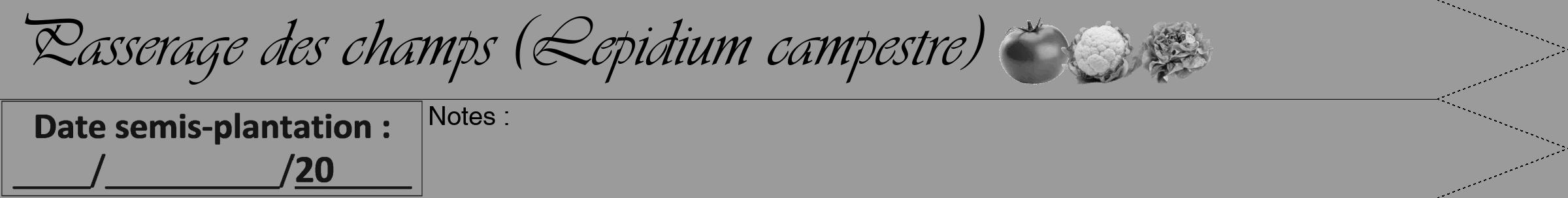 Étiquette de : Lepidium campestre - format b - style noire52viv avec comestibilité simplifiée