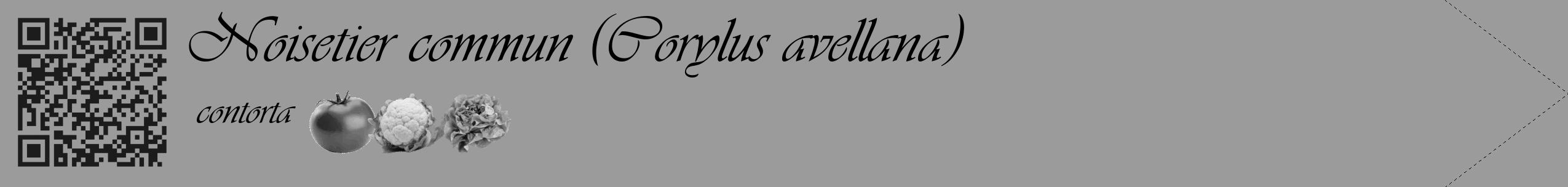 Étiquette de : Corylus avellana contorta - format c - style noire52_simple_simpleviv avec qrcode et comestibilité simplifiée
