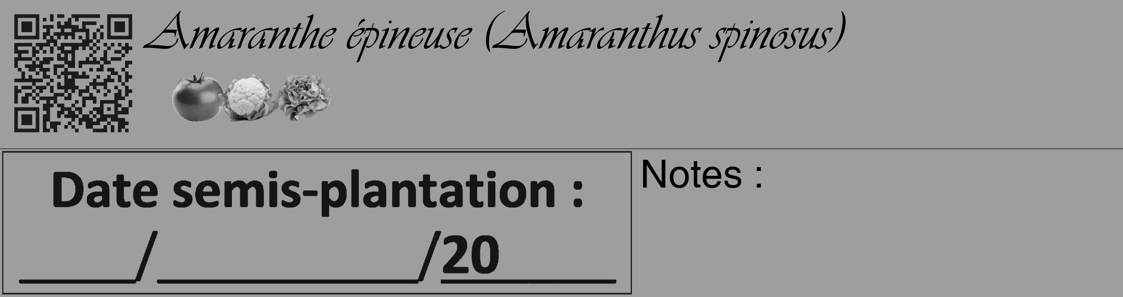 Étiquette de : Amaranthus spinosus - format c - style noire42_basique_basiqueviv avec qrcode et comestibilité simplifiée