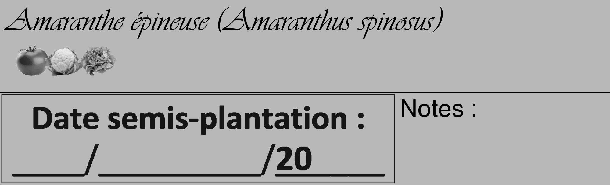 Étiquette de : Amaranthus spinosus - format c - style noire39_basique_basiqueviv avec comestibilité simplifiée